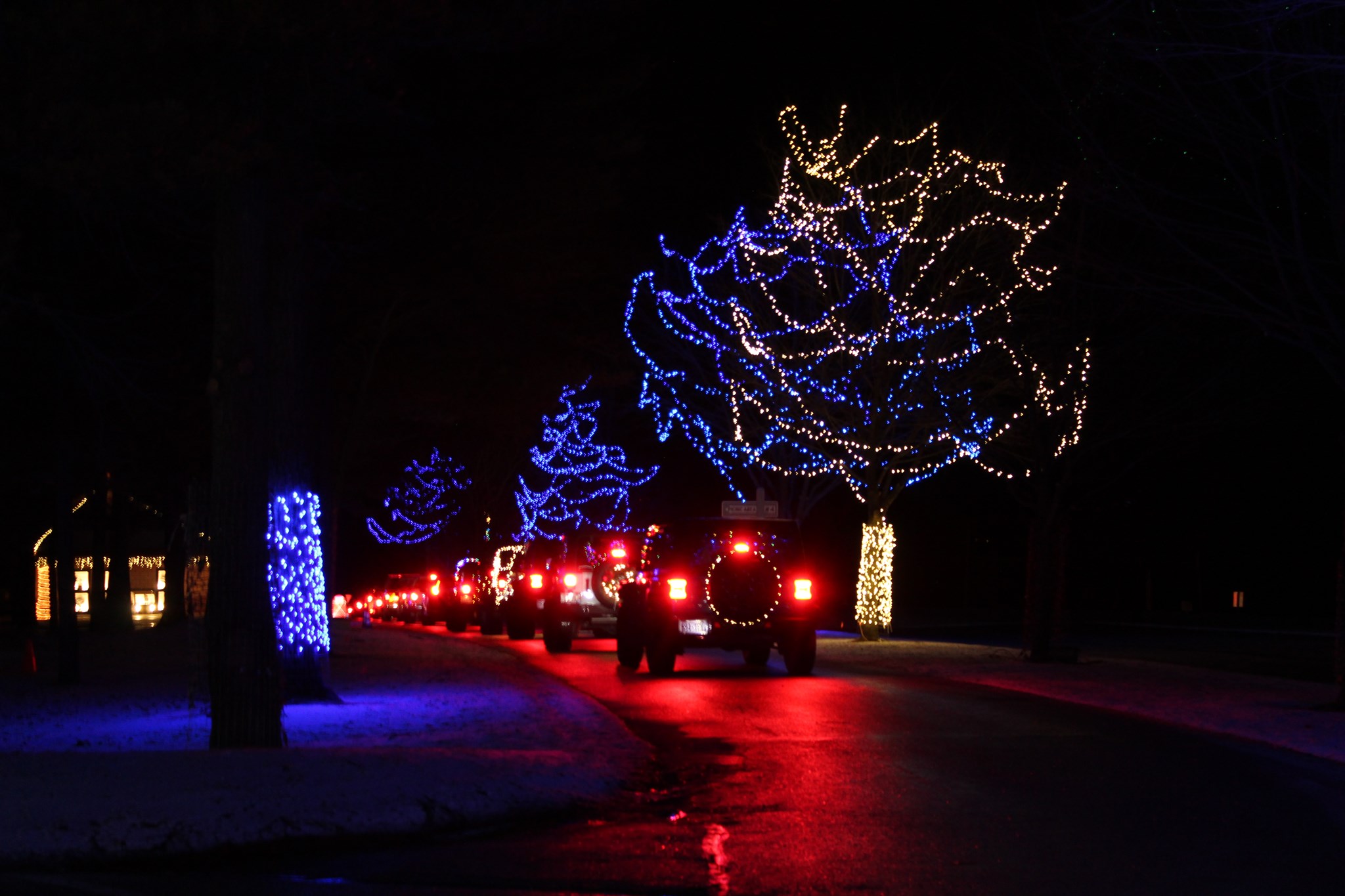 Holiday Night Light Ride